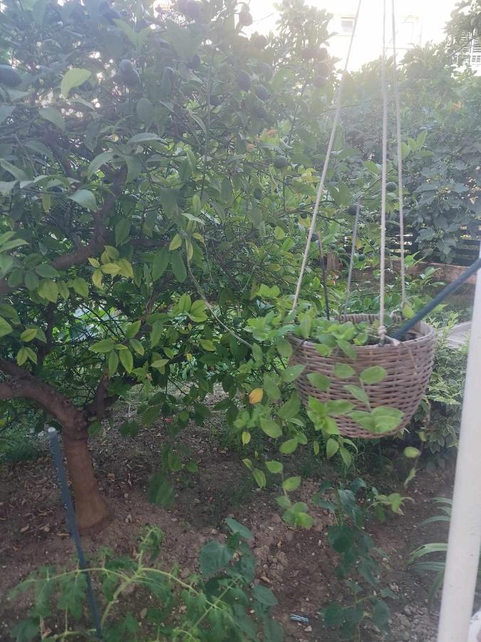 Holiday Apartment Split Luaran gambar